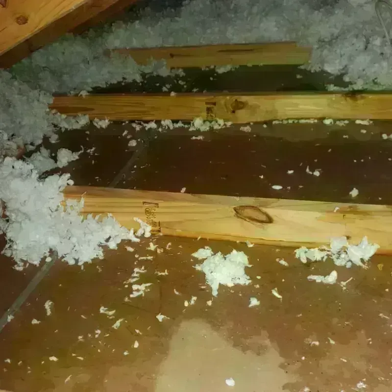 Attic Water Damage in DeKalb County, IL