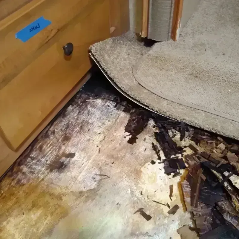 Wood Floor Water Damage in DeKalb County, IL